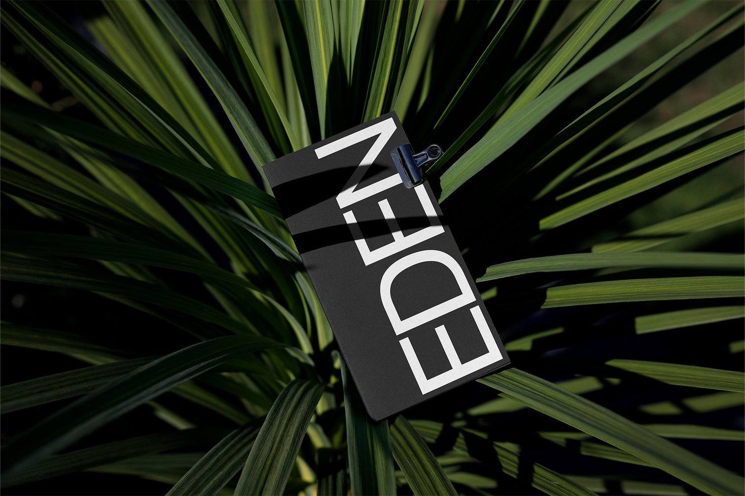 Format Eden Book 05